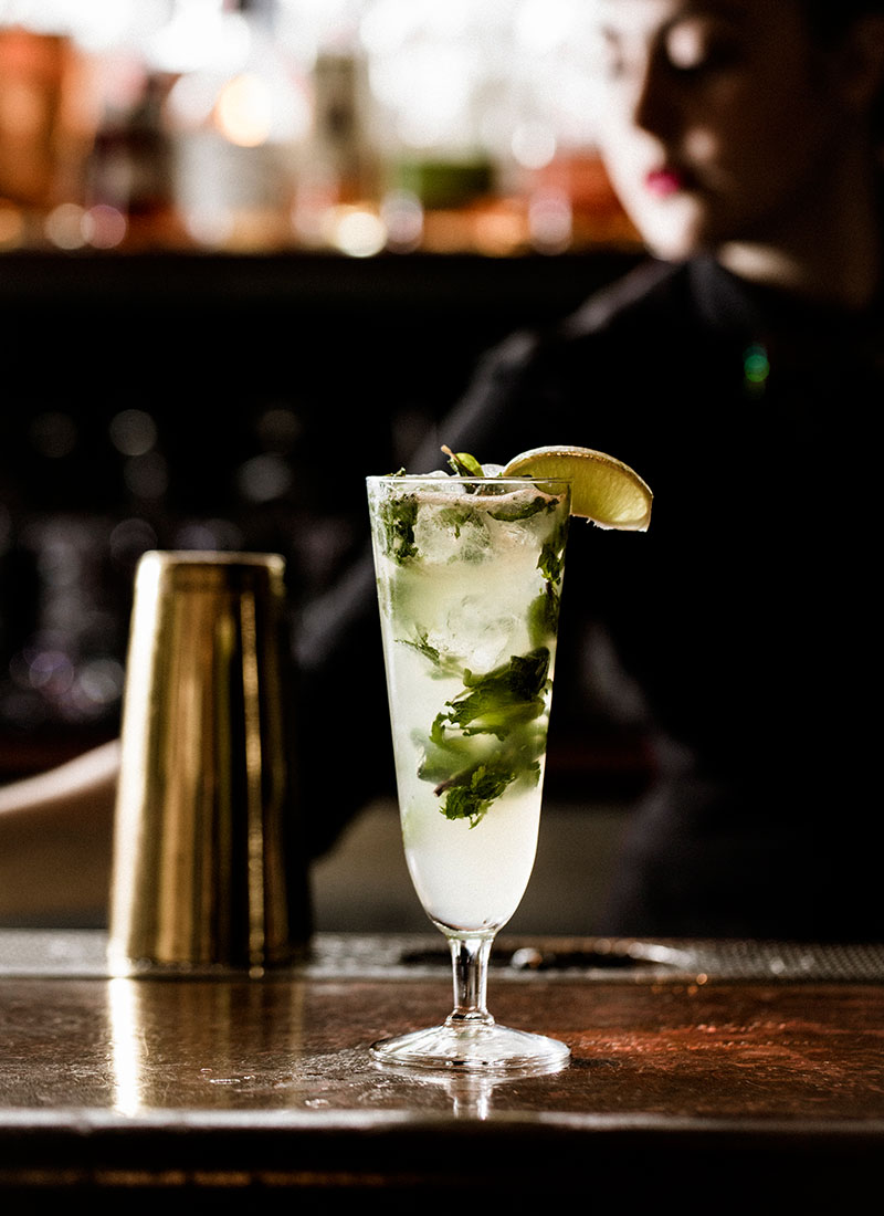 the favorite cocktail